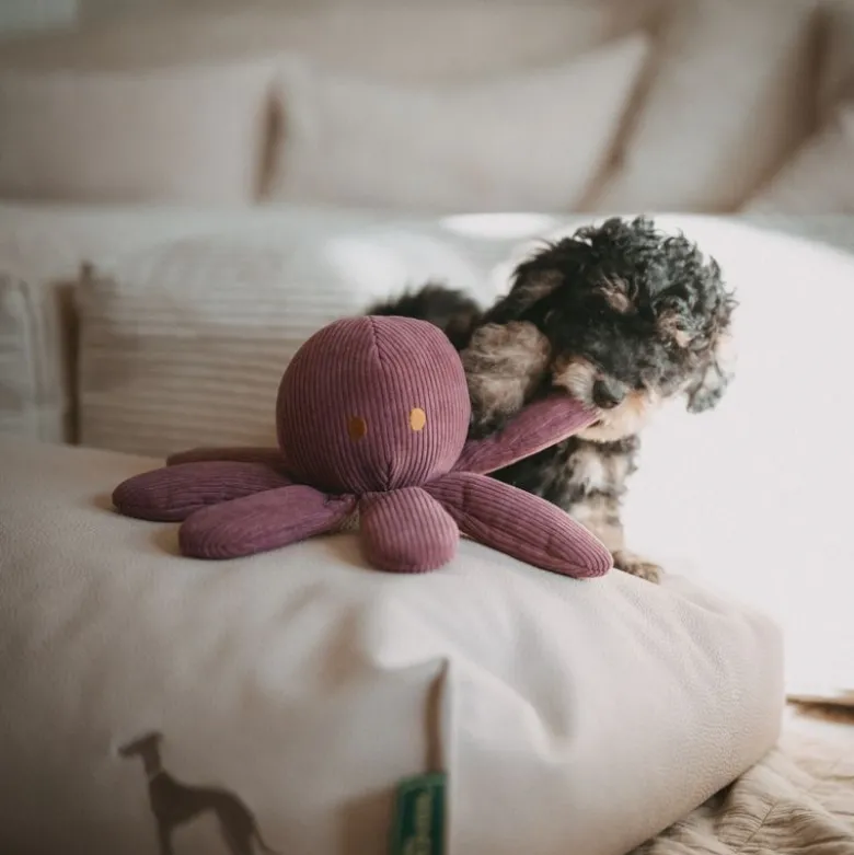 HUNTER hundelegetøj Wales Octopus