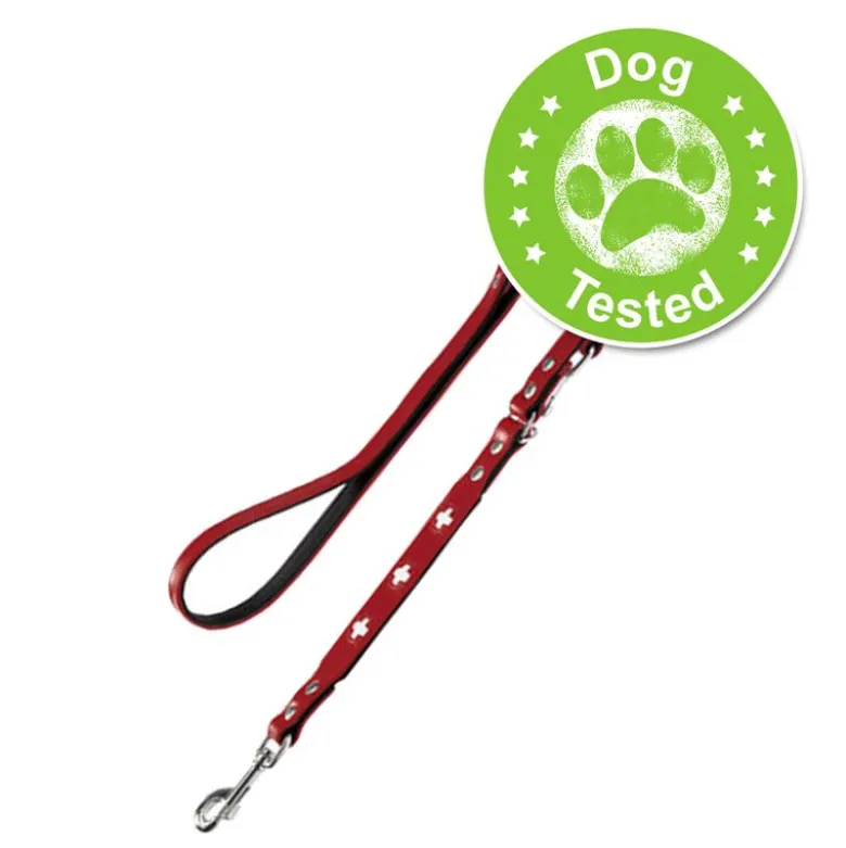 HUNTER hundesnor Swiss