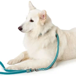 Hunter justerbar hundesnor Hilo, turkis