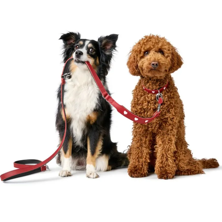 HUNTER justerbar hundesnor Love, rød