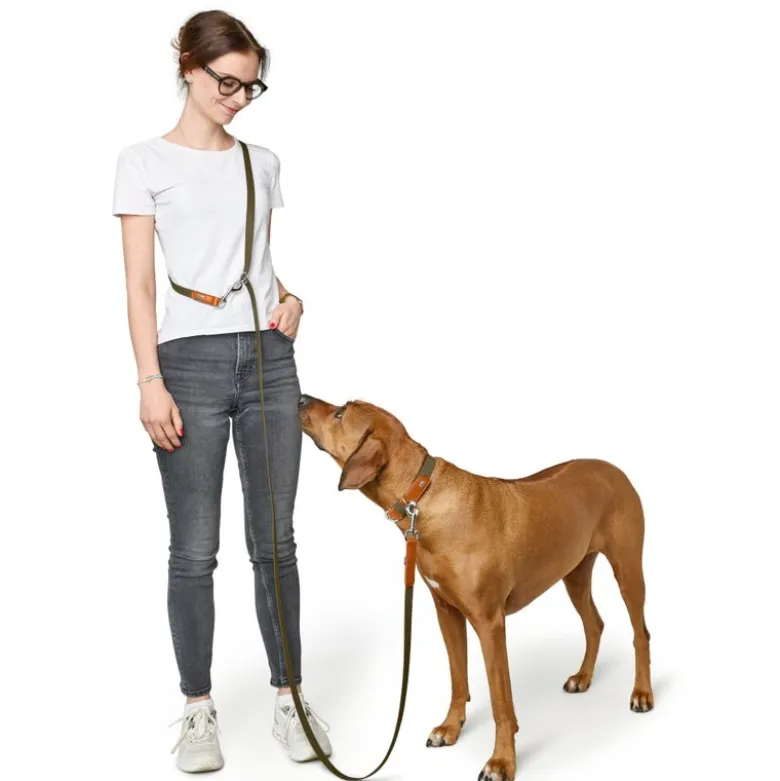 HUNTER-krave Wolmar BioThane® x læder, khaki/orange