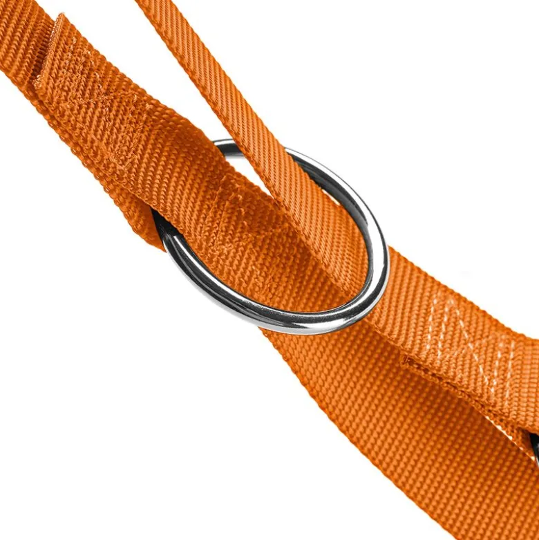 HUNTER London Hundesnor, orange