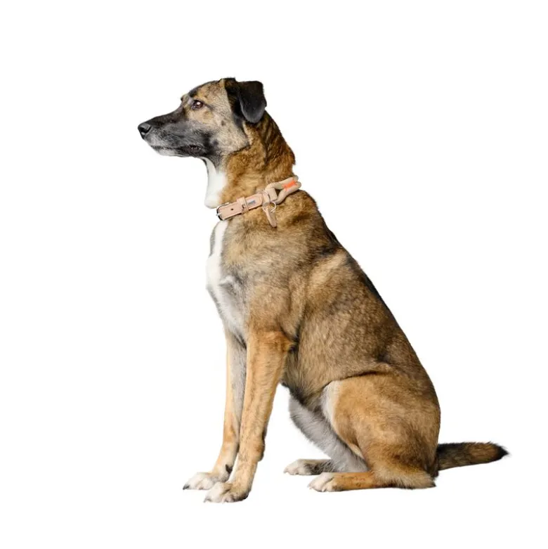 HUNTER Malia halsbånd, beige/naturfarvet