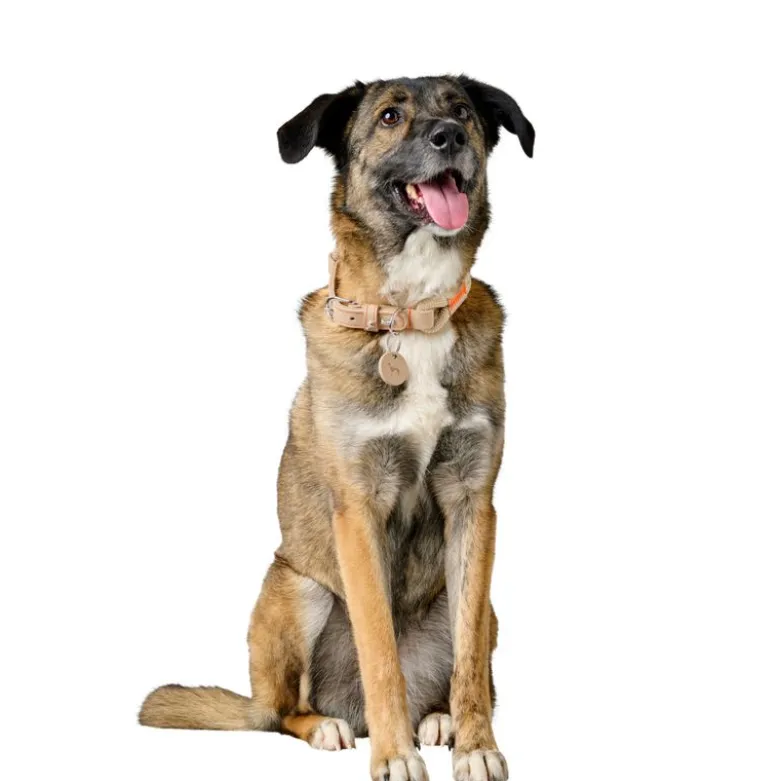 HUNTER Malia halsbånd, beige/naturfarvet
