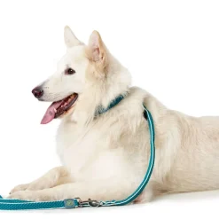 Hunter-sæt: Halsbånd Hilo Vario Basic & Justerbar hundesnor Hilo