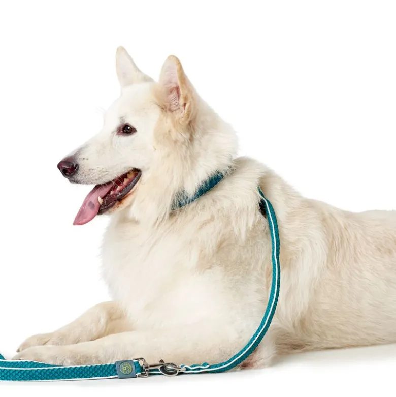 Hunter-sæt: Halsbånd Hilo Vario Basic & Justerbar hundesnor Hilo