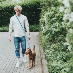 Hunter-sæt: Halsbånd Hilo Vario Basic & Justerbar hundesnor Hilo