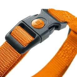 HUNTER Sæt: Halsbånd + hundesnor London, orange