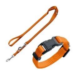 HUNTER Sæt: Halsbånd + hundesnor London, orange