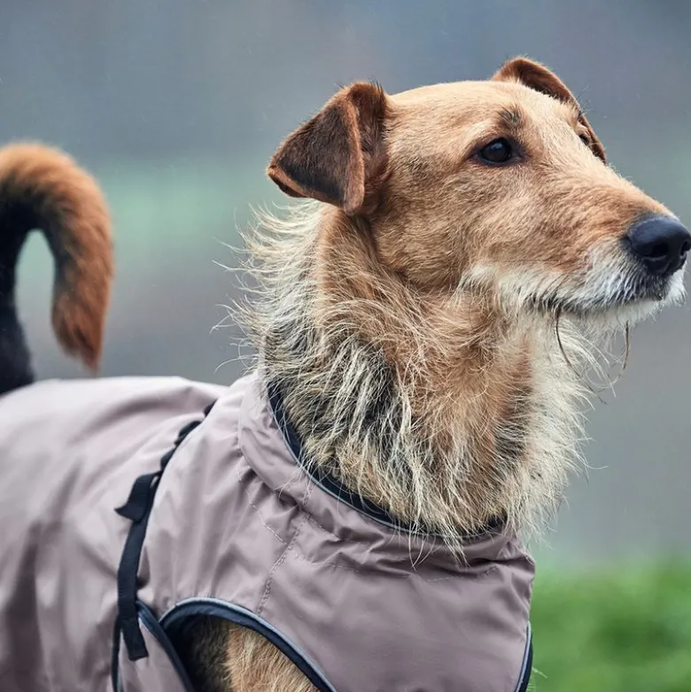 HUNTER Uppsala Hundejakke