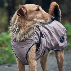 HUNTER Uppsala Hundejakke