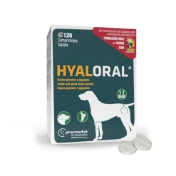 Hyaloriske store og meget store racer