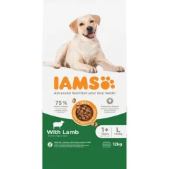 IAMS Advanced Nutrition Adult Large Dog med lam