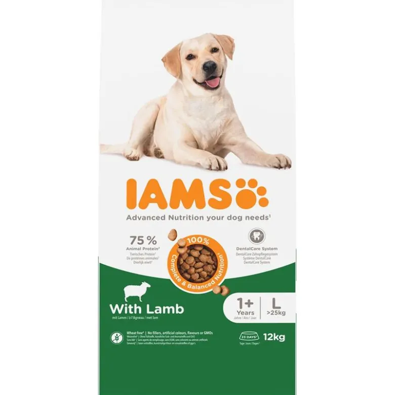 IAMS Advanced Nutrition Adult Large Dog med lam