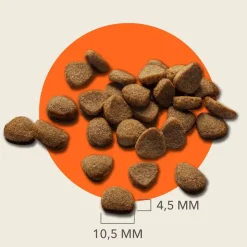 IAMS Advanced Nutrition Adult Cat med laks