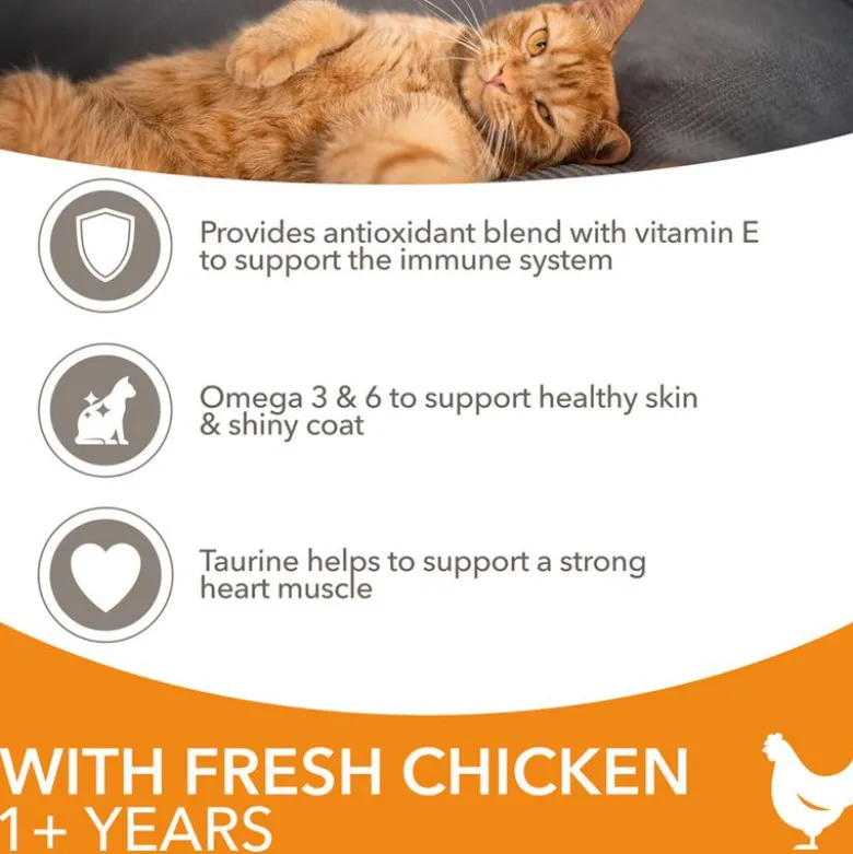 IAMS Advanced Nutrition Adult Cat med Kylling