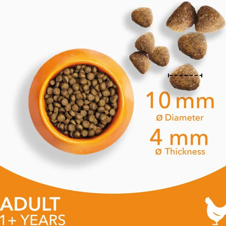 IAMS Advanced Nutrition Adult Cat med Kylling