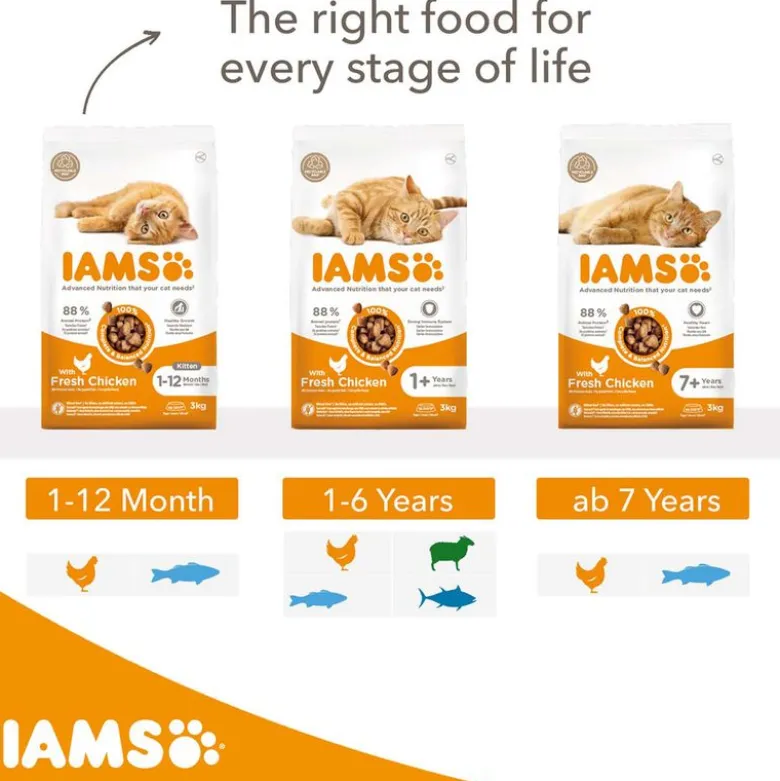 IAMS Advanced Nutrition Adult Cat med Lam