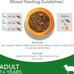 IAMS Advanced Nutrition Adult Cat med Lam