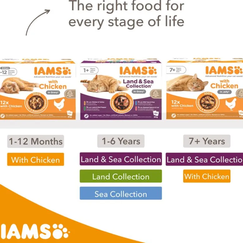 IAMS Advanced Nutrition Kitten kylling i sauce