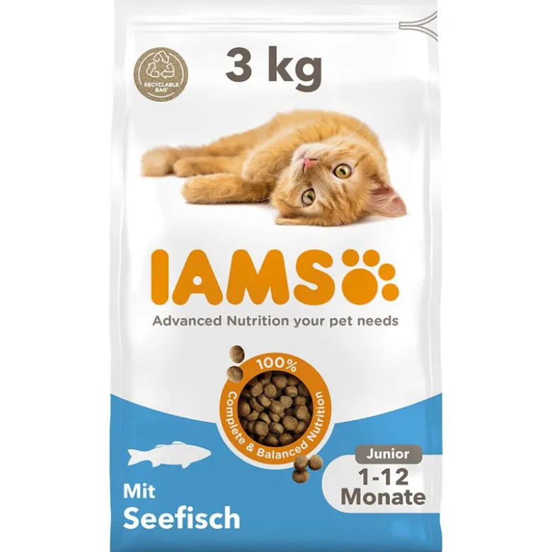 IAMS Advanced Nutrition Kitten med havfisk