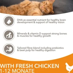 IAMS for Vitality Kitten med Kylling
