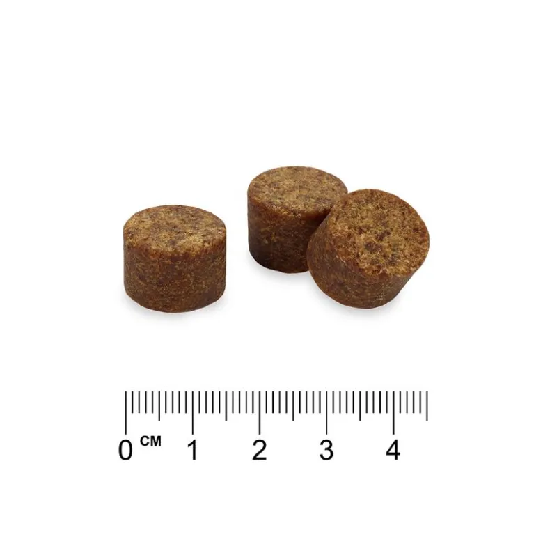 10 i 1 Multivitamintilskud Chews - Concept for Life