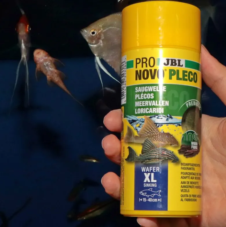 JBL ProNovo Pleco Wafer M