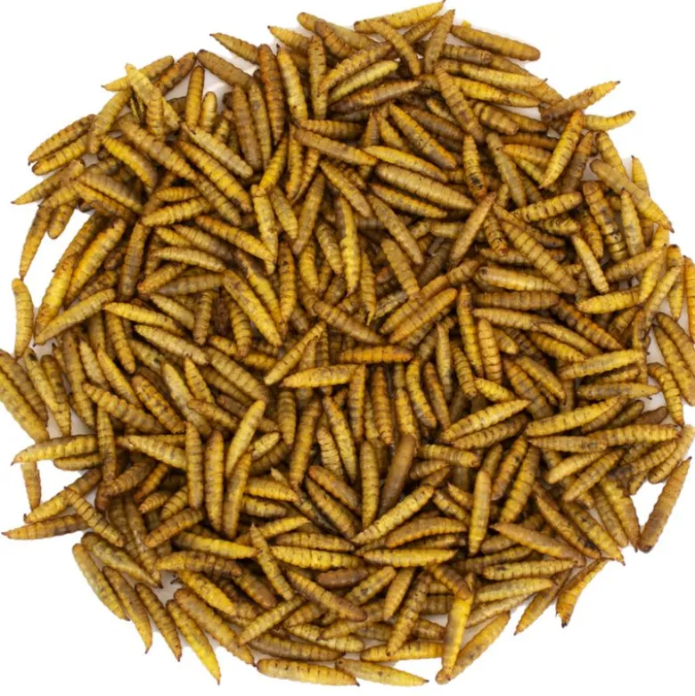 JR Farm Hermetia/Soldatfluelarver spand