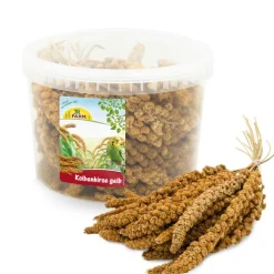 JR Farm spand rævehalehirse gul
