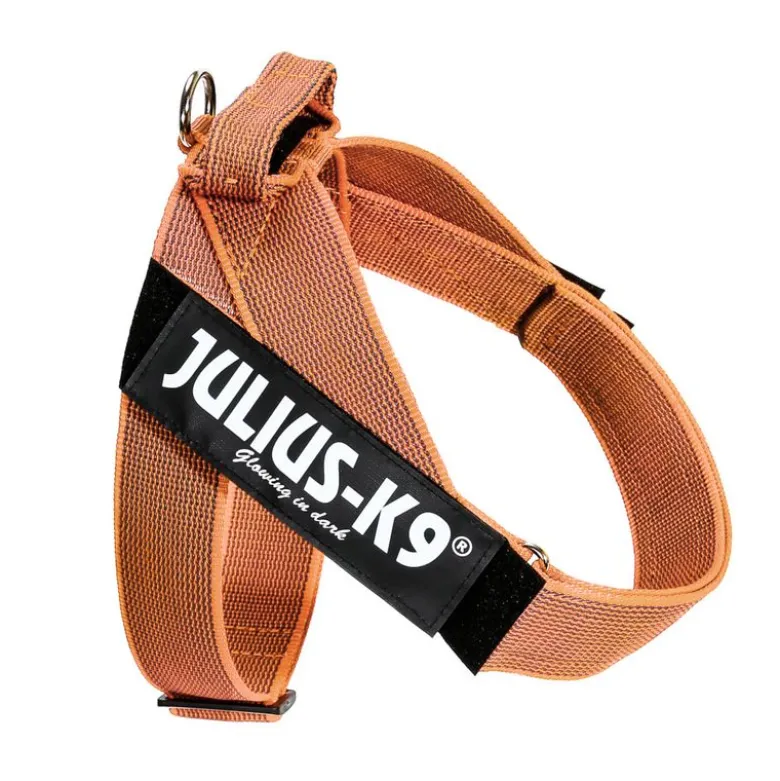 Julius-K9 IDC® Color & Grå sele, orange/grå