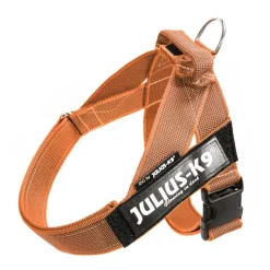 Julius-K9 IDC® Color & Grå sele, orange/grå