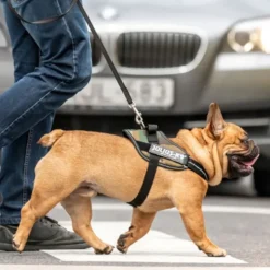 JULIUS-K9 IDC® hundesele, camouflage