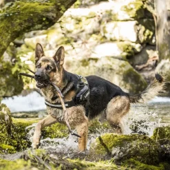 JULIUS-K9 IDC® hundesele, camouflage
