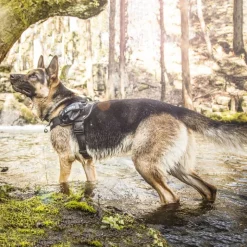 JULIUS-K9 IDC® hundesele, camouflage