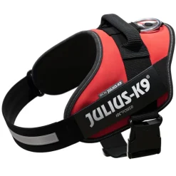 JULIUS-K9 IDC® hundesele - rød