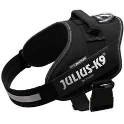 JULIUS-K9 IDC® hundesele sort