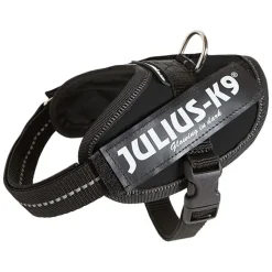 JULIUS-K9 IDC® sæt: sort hundesele + gummieret dobbeltsnor