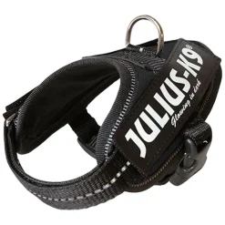 JULIUS-K9 IDC® sæt: sort hundesele + gummieret dobbeltsnor