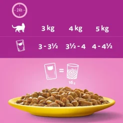 Jumbopakke: 96 x 85 g Whiskas Senior portionsposer