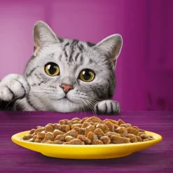 Jumbopakke: 96 x 85 g Whiskas Senior portionsposer