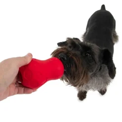 JW Tumble Teez Treat Toy