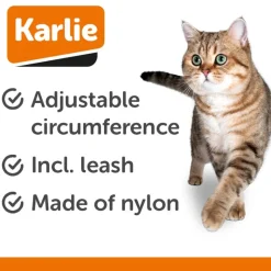Karlie kattesele til killinger