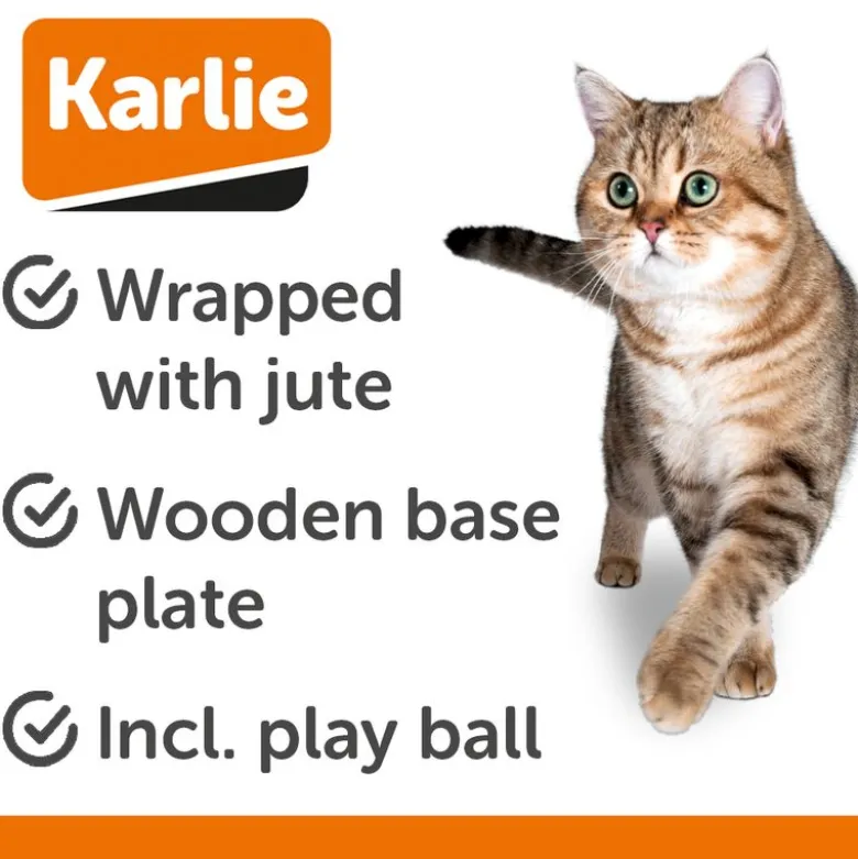 Karlie Kradsebold Baltiko af Træ