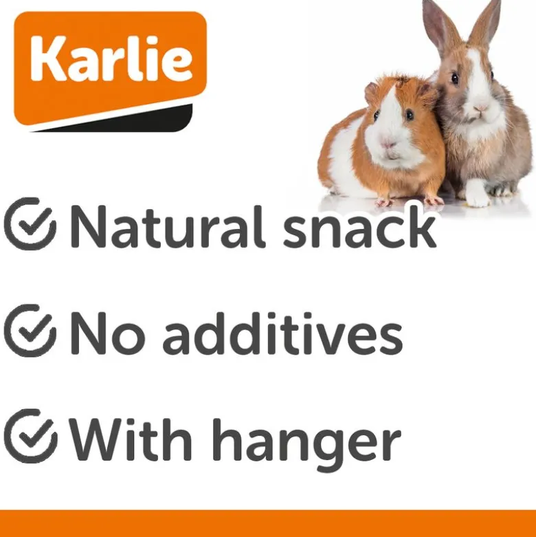 Karlie Majskolbe til gnaver