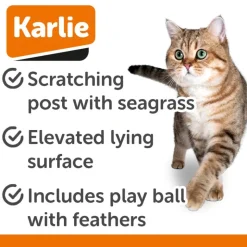 Karlie Segra Kradsetræ