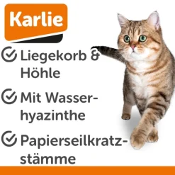 Karlie vandhyacint kradsemøbel Sombra M