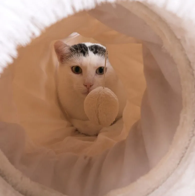 Katte-legetunnel 3in1
