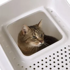 Kattetoilet Big Box