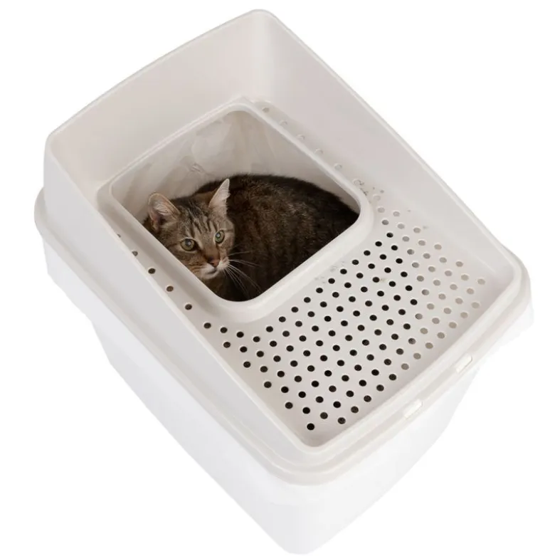 Kattetoilet Big Box